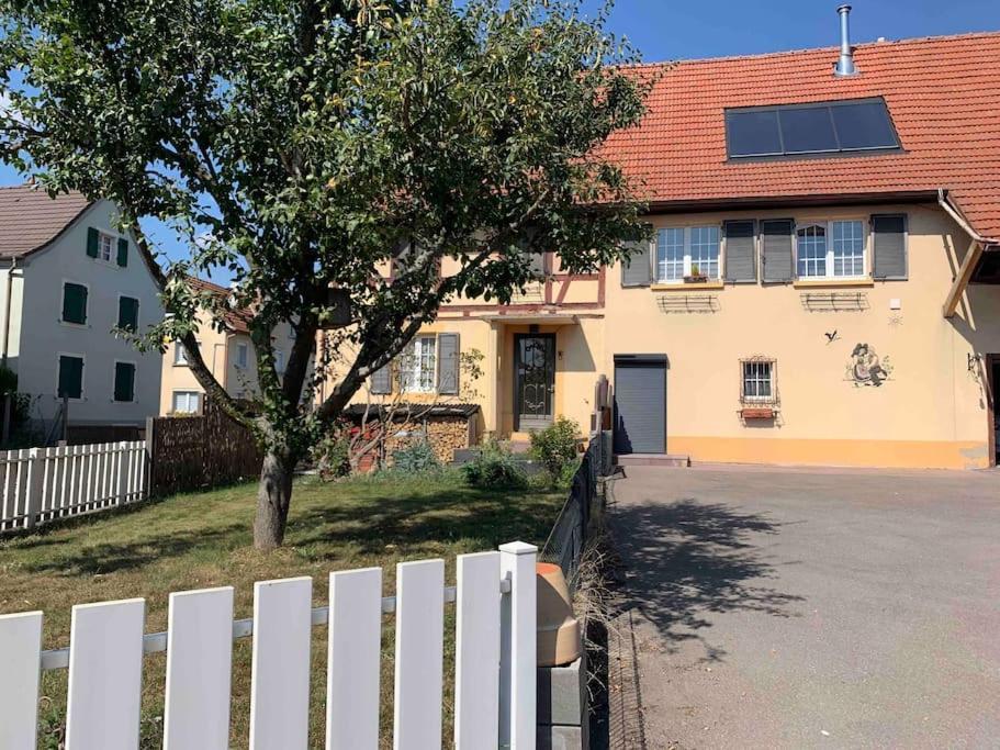 Gite Cosy Pour 2 A 4 Personnes, Village Proche Mulhouse Burnhaupt-le-Bas Exterior photo